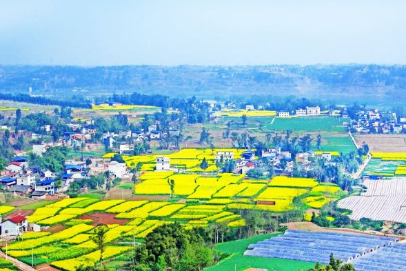 潼南玉溪鎮(zhèn)風(fēng)光。潼南區(qū)委宣傳部供圖