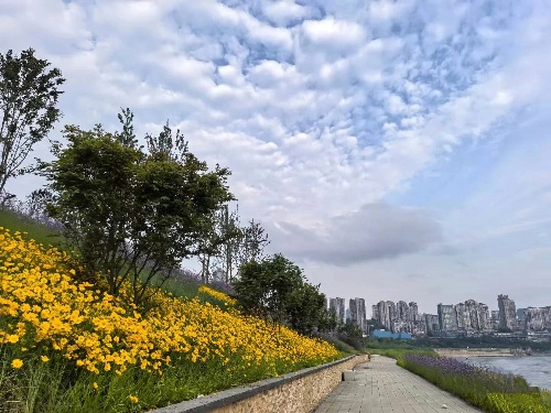 "藝岸漫行"都市水岸。重慶設(shè)計(jì)集團(tuán)有限公司市政設(shè)計(jì)研究院供圖。