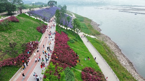 “林間探秘”立體步道。重慶設(shè)計(jì)集團(tuán)有限公司市政設(shè)計(jì)研究院供圖。