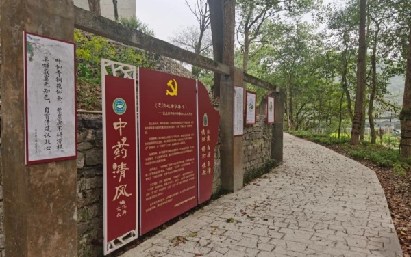 研究所中藥清風長廊一角。重慶市藥物種植研究所供圖