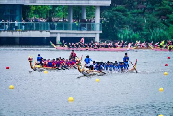 龍舟爭渡?；顒又鬓k方供圖