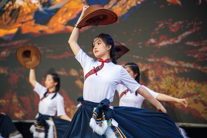 民族舞蹈。主辦方供圖