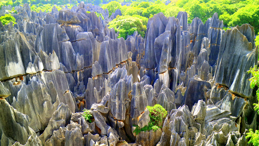 大石林。石林風(fēng)景名勝區(qū)管理局供圖