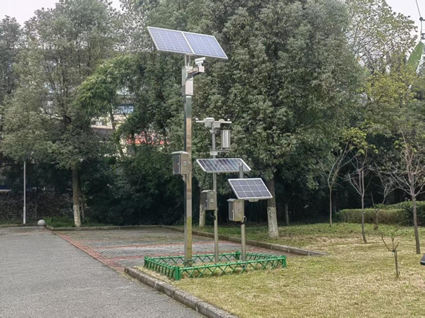 古樹(shù)名木智慧監(jiān)測(cè)系統(tǒng)。重慶市林業(yè)局供圖