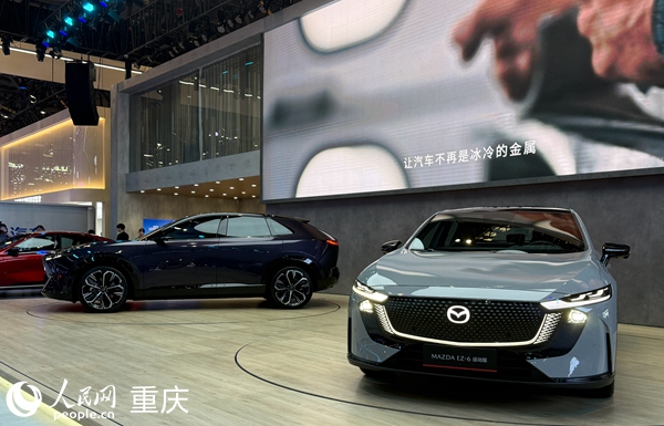 車展現(xiàn)場。人民網(wǎng)記者 胡虹攝