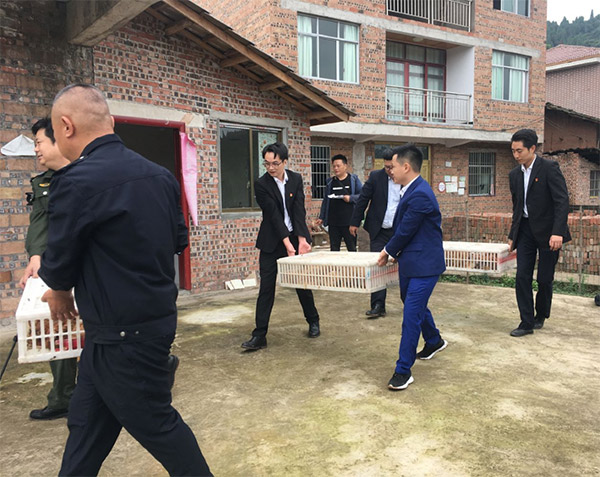 助力鄉(xiāng)村振興，支持困難農(nóng)戶開展勞動養(yǎng)殖。中交資管重慶總部供圖