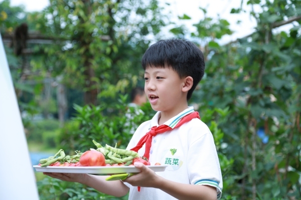 采摘成果。張源攝