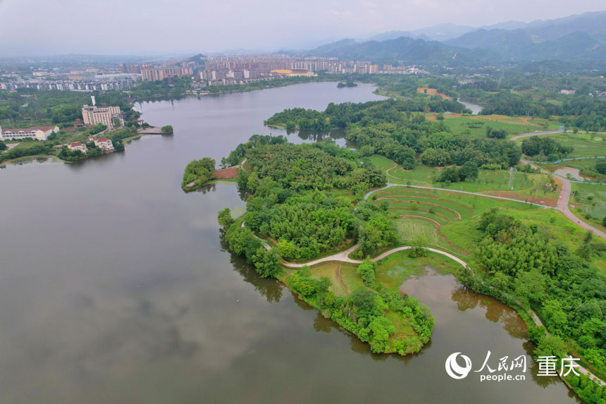 重慶市梁平區(qū)雙桂湖國家濕地公園。人民網(wǎng) 鄒樂攝