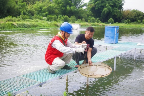 重慶順浩農(nóng)業(yè)開(kāi)發(fā)有限公司負(fù)責(zé)人陳先洪為電力員工介紹蝦苗長(zhǎng)勢(shì)情況。吳莉珊攝