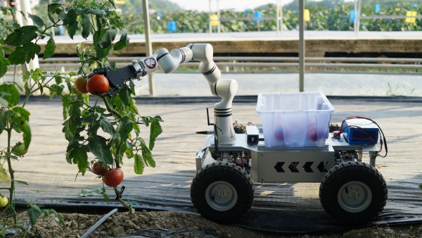 智能手臂采摘番茄?；顒?dòng)主辦方供圖