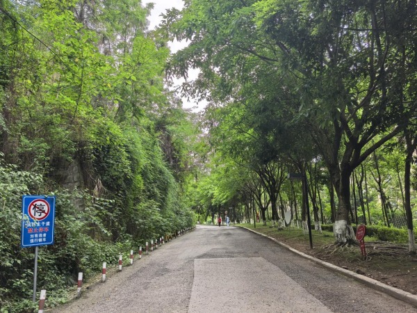 道路整治后不見違停車輛身影。段紅玲攝