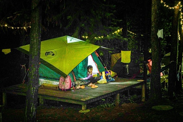 林間露營的小孩打量森林的夜晚。主辦方供圖