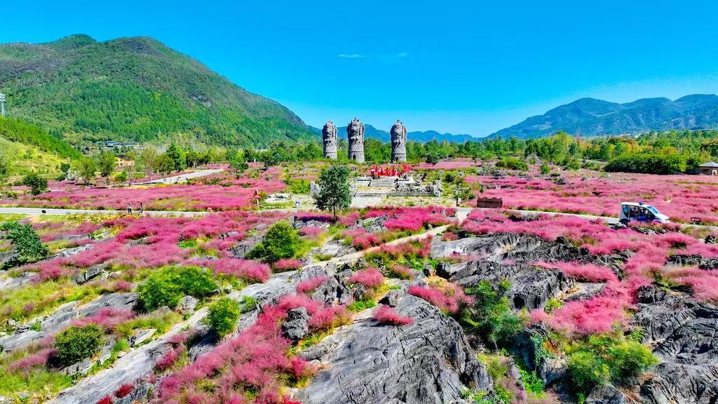 酉陽利用石漠化土地打造的疊石花谷景區(qū)。重慶市林業(yè)局供圖