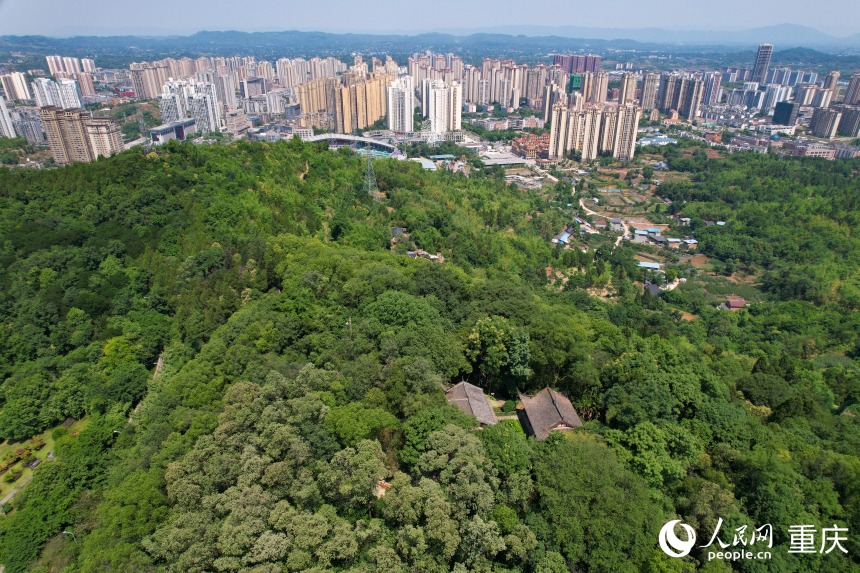 藏在山林間的大足南山石刻。人民網(wǎng) 鄒樂攝