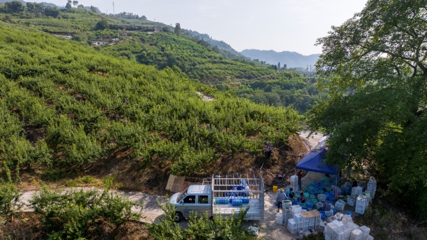 采摘的鮮果經(jīng)分揀、裝箱將通過冷鏈車直達外地商超。劉先華攝