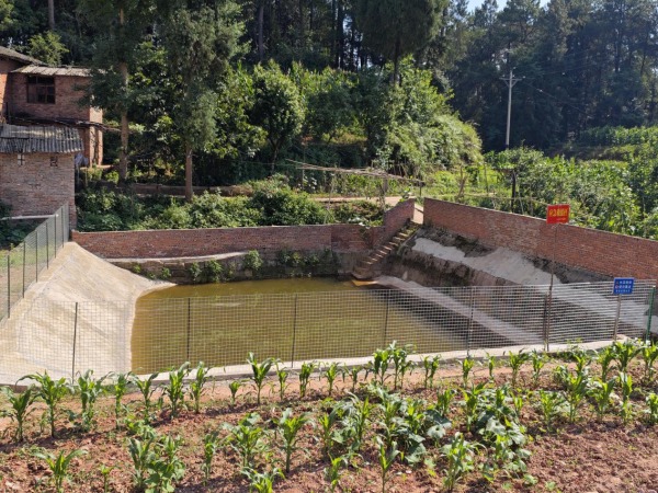 整治后的豬市場堰塘。陳海鷹攝