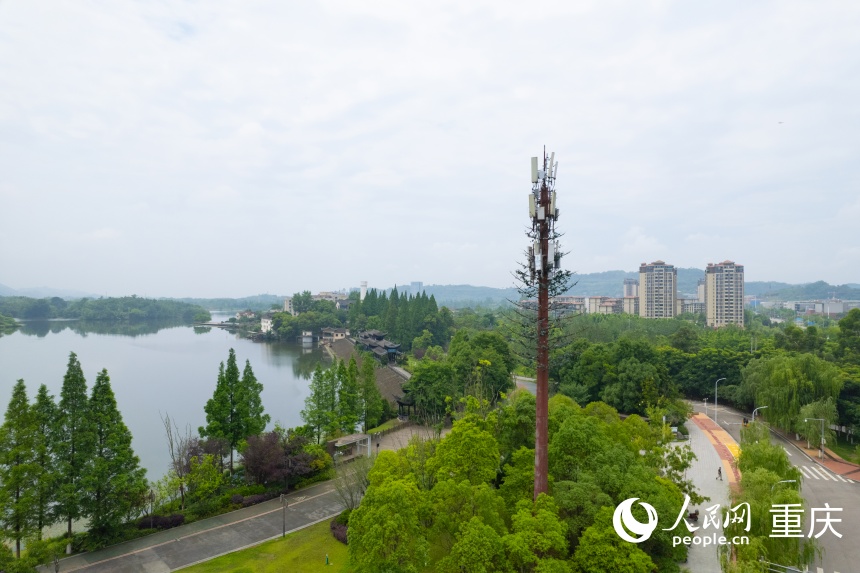 位于雙桂湖國家濕地公園的5G-A基站。人民網(wǎng) 鄒樂攝