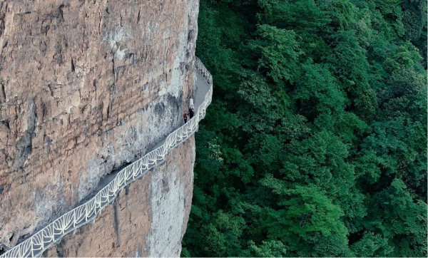 金佛山棧道。金佛山供圖