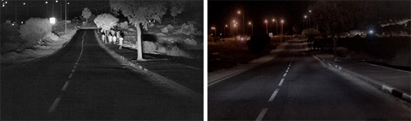 在黑暗環(huán)境中可清晰識別路兩側樹木及障礙物。中科搖櫓船供圖