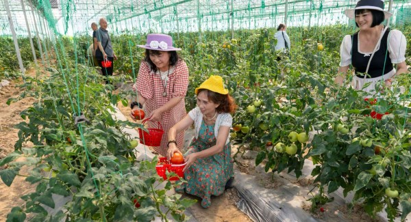 感受采摘樂趣。璧山區(qū)委宣傳部供圖