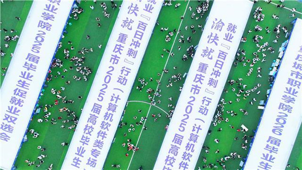 雙選會(huì)現(xiàn)場(chǎng)。主辦方供圖