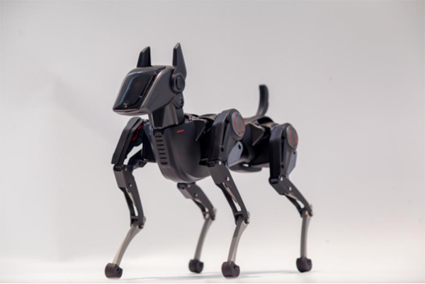 哮天Sirius智能機(jī)器狗。兩江協(xié)同創(chuàng)新區(qū)供圖