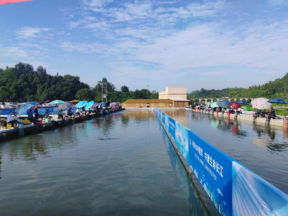 垂釣大賽比賽現(xiàn)場。重慶市休閑垂釣協(xié)會供圖