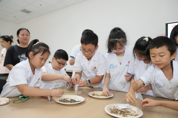 萌娃動手制作“中藥驅蚊香包”。趙海攝