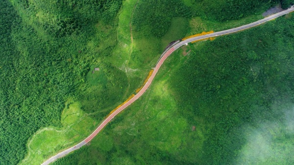 菖蒲大草原。酉陽縣委宣傳部供圖