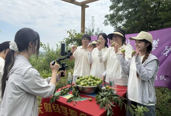 實(shí)踐團(tuán)成員詳細(xì)介紹金鵝村奈李。重慶財(cái)經(jīng)學(xué)院供圖