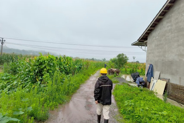 國網(wǎng)合川供電公司員工在暴雨后巡視10千伏古化線2號桿至45號桿。翁航攝