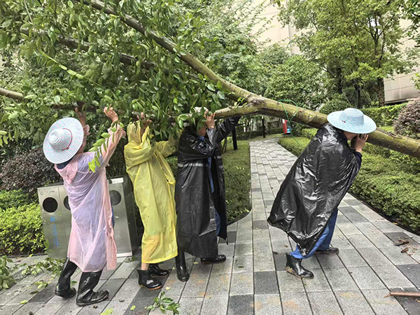 7月9日，萬科金開悅府物業(yè)人正在清理被大風刮倒的樹木。萬科物業(yè)供圖