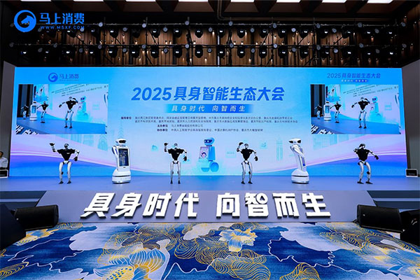 宇樹科技機(jī)器人 G1 和馬上消費(fèi)養(yǎng)老陪護(hù)機(jī)器人“裴裴”共同帶來的機(jī)械舞。馬上消費(fèi)供圖