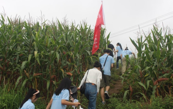促進(jìn)團(tuán)前往春安村采摘園。唐鈺涵攝