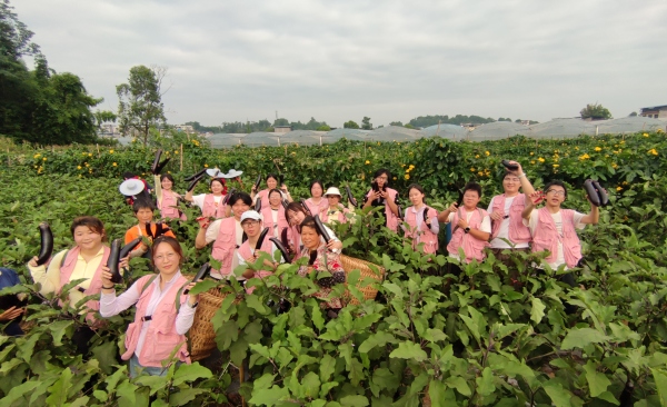 團(tuán)隊(duì)成員幫村民采摘農(nóng)作物。重慶移通學(xué)院供圖