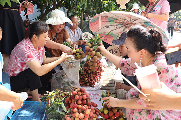 游客現(xiàn)場購買荔枝。涪陵區(qū)委宣傳部供圖