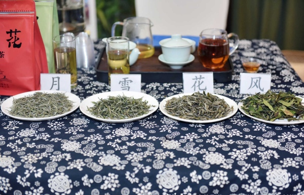 桑植白茶現(xiàn)場(chǎng)推介。桑植縣委宣傳部供圖