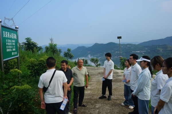 村支書、駐村干部向團(tuán)隊(duì)成員介紹中藥材種植基地情況。重慶交通大學(xué)供圖