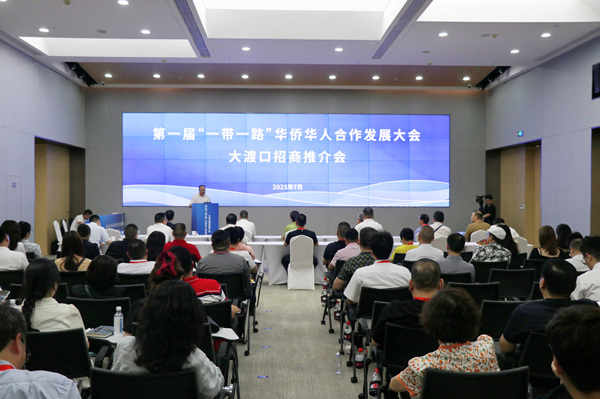第一屆“一帶一路”華僑華人合作發(fā)展大會(huì)大渡口招商推介會(huì)現(xiàn)場。胥世鵬攝