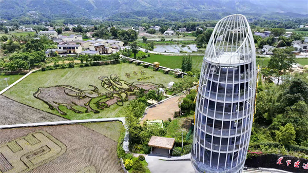 鳥(niǎo)瞰隆平五彩田園。大足區(qū)融媒體中心供圖