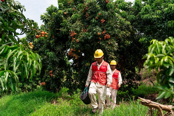 電力員工對用電設施進行“體檢”。國網重慶永川供電公司供圖