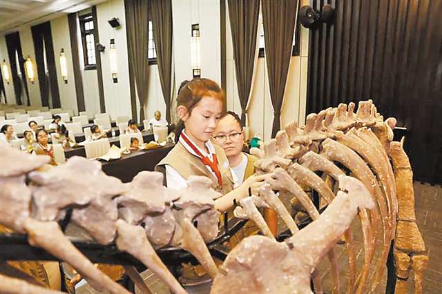 重慶自然博物館，孩子們在化石修復(fù)師的指導(dǎo)下組裝“恐龍化石骨架”。（受訪單位供圖）