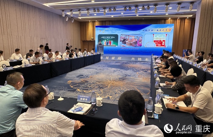 霍邱縣副縣長(zhǎng)毛玲霞為在場(chǎng)企業(yè)家作宣傳推介。人民網(wǎng)記者 劉政寧攝