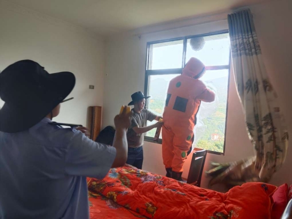 雙龍鎮(zhèn)綜合應(yīng)急隊員上門取馬蜂窩。雙龍鎮(zhèn)供圖