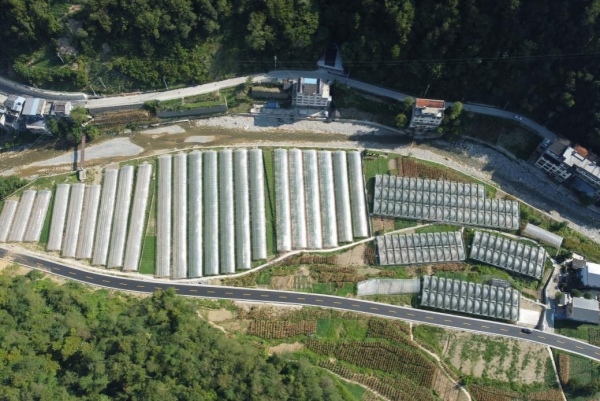 咸宜村蔬菜基地航拍。咸宜鎮(zhèn)供圖