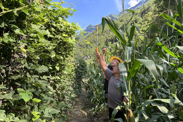 團隊成員指導(dǎo)種植戶噴施葉面肥。重慶工程職業(yè)技術(shù)學(xué)院供圖