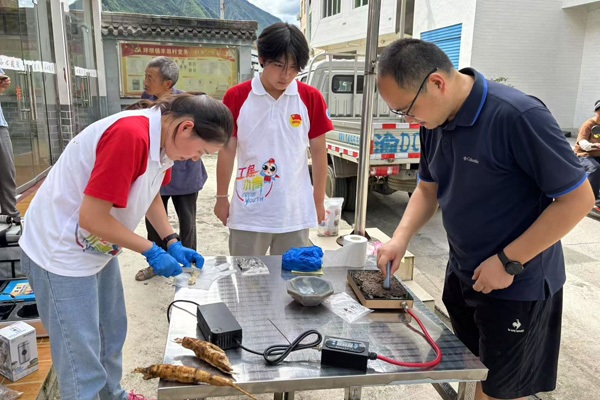 團隊制備葛根和土壤樣品。重慶工程職業(yè)技術(shù)學(xué)院供圖