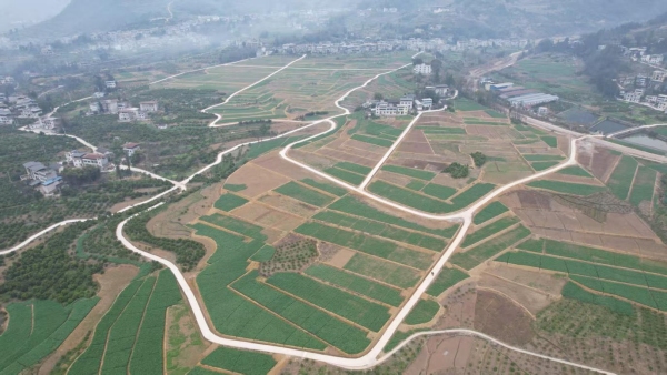 奉節(jié)縣羊市鎮(zhèn)全力推進高標準農田建設。羊市鎮(zhèn)供圖