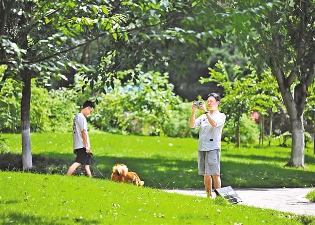 7月11日，居民在空港佳園公租房小區(qū)里拍攝小區(qū)環(huán)境。（本版圖片均由本報記者羅斌攝/視覺重慶）