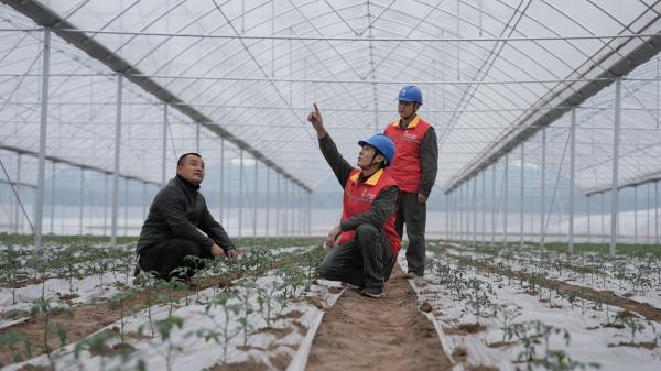 廖仁昌在中壩島蔬菜大棚與村民交流用電需求。楊李亮攝